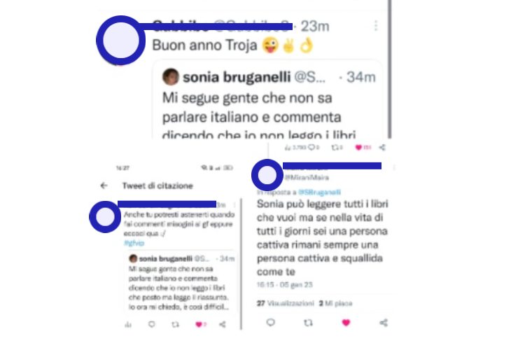 Insulti a Sonia Bruganelli 