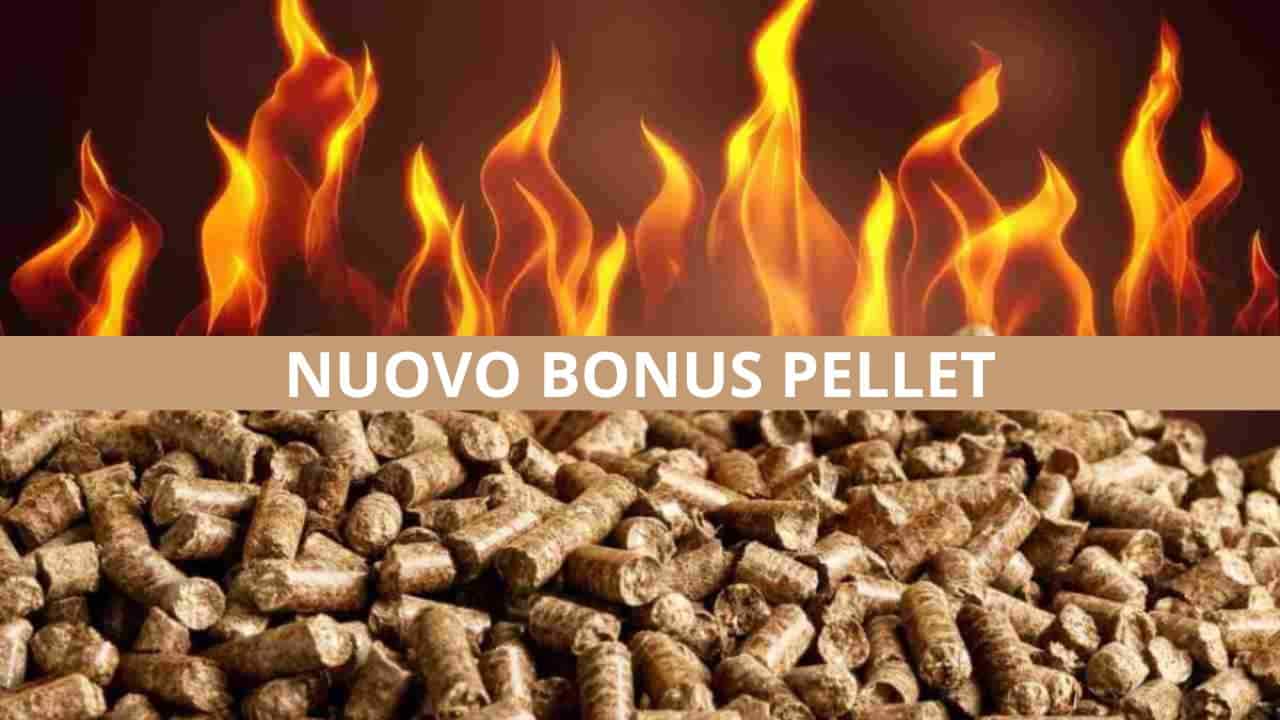 Bonus Pellet