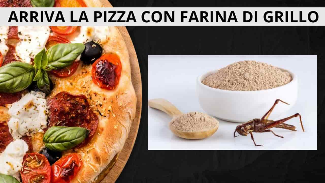 Pizza farina di grilli 