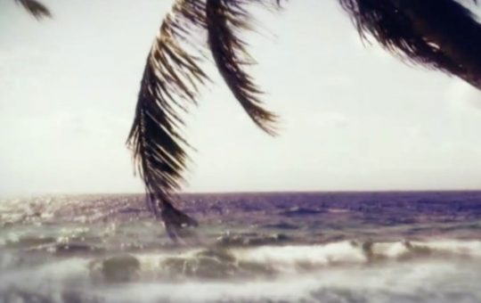 Isola dei Famosi